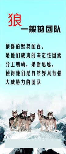 祖国新时代绘画图南宫NG28片(祖国新时代绘画)